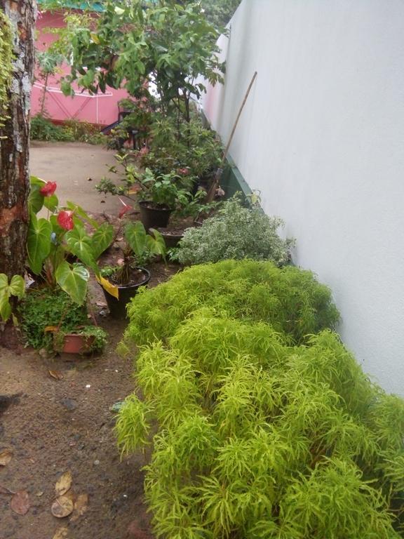 Little Pink House Apartment Mirissa Ngoại thất bức ảnh
